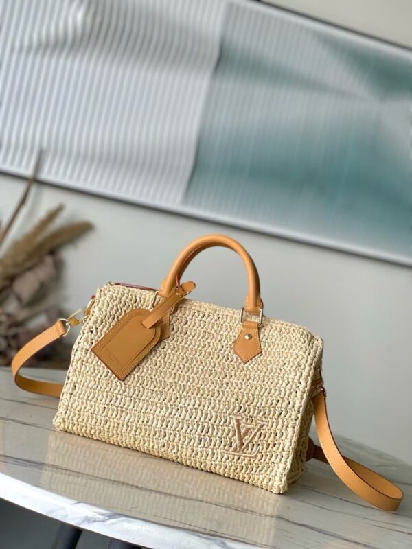 Bolsa Louis Vuitton